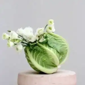 Decor #96